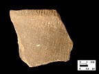 Keyser smoothed over cord-marked rim sherd from Hughes site 18MO1, Feature 22.